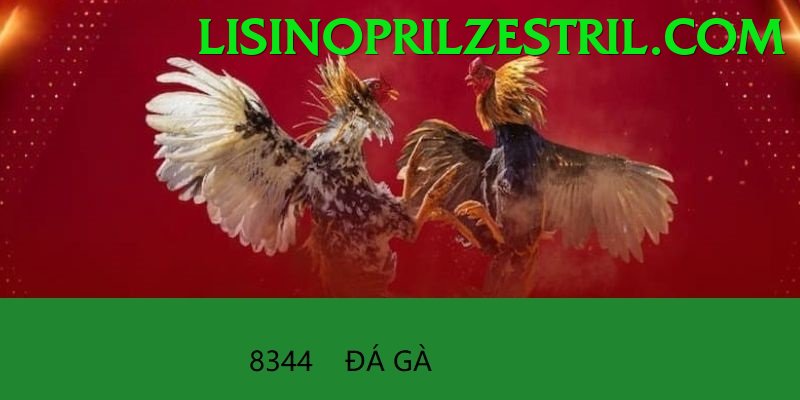 Cách Đọc Kèo Đá Gà